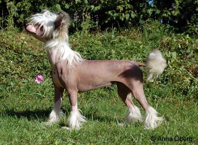 Bella8 mån